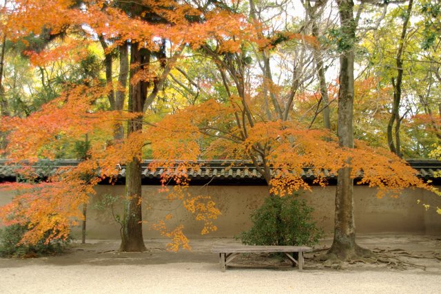 下鴨の長明神社にて