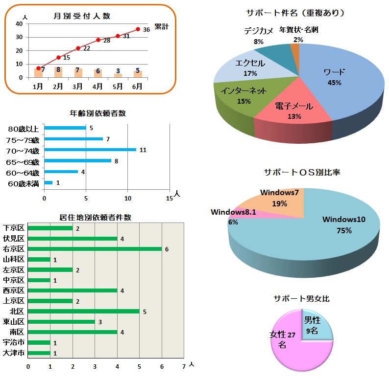 2019年前半サポート実績グラフ